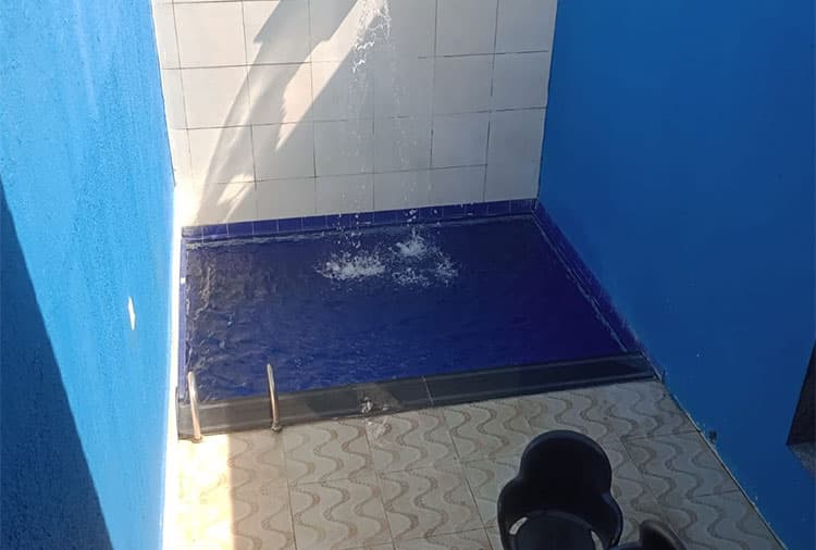 Suíte Golden